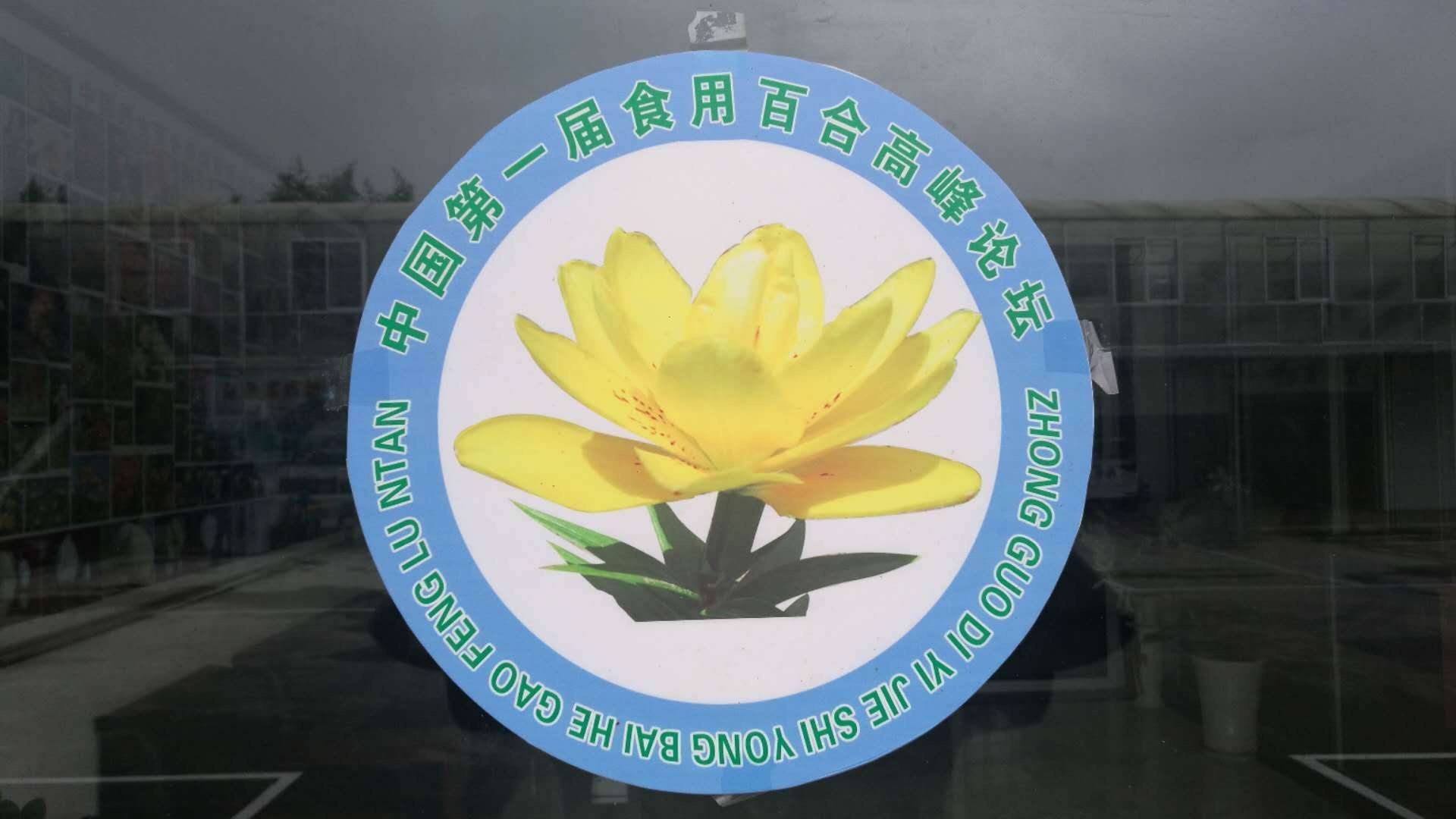 大百合廠家 中心園區(qū)山東廠家 百合種球山東供應(yīng) 臨沂百合種球批發(fā) 北京百合種球行情 湖北百合種球苗 山東百合廠家