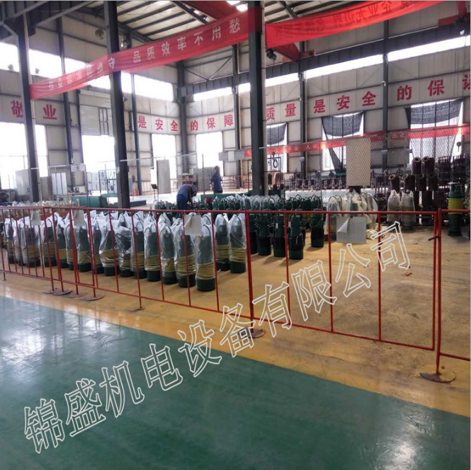 潛水污水泵 BQW BQS 煤泥排放*泵 煤泥排放*泵廠家 煤泥排放*泵報價 煤泥排放*泵價格