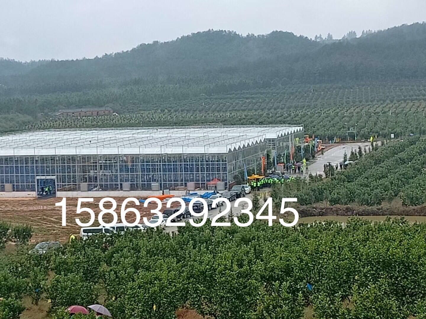 湖北玻璃溫室價(jià)格 湖北玻璃溫室廠家 湖北玻璃溫室哪里好