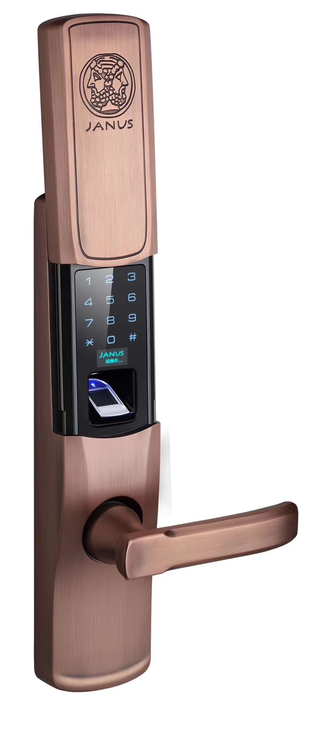 新疆智能鎖家用指紋鎖監(jiān)獄防盜門電子門鎖密碼鎖