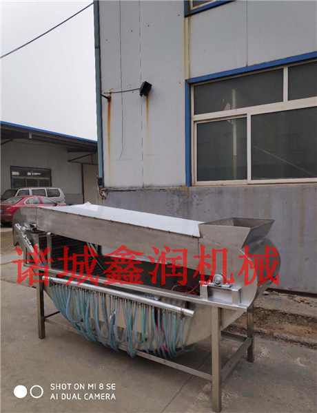 船式雞燙毛機(jī)專業(yè)生產(chǎn)廠家 船式雞燙毛機(jī)廠家