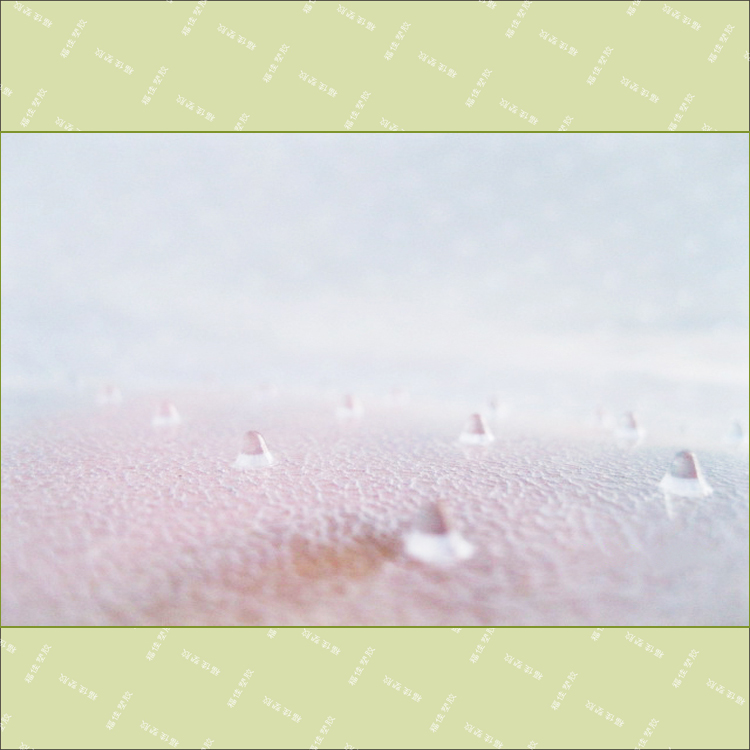 PVC透明地毯墊地毯保護墊電腦防滑椅墊透明腳墊