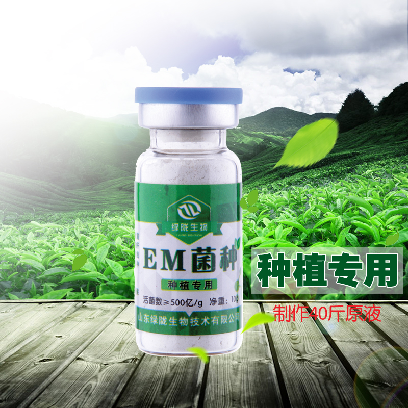 EM菌種  增強(qiáng)植物代謝功能，提高光合作用
