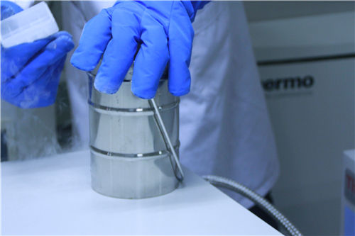 山東省臍帶干細胞  干細胞儲存  間充質(zhì)干細胞  安全可靠