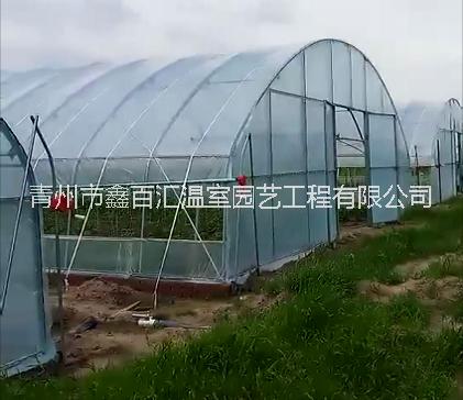 單拱溫室 農(nóng)用溫室