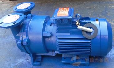 2BV水環(huán)真空泵 【淄博市隆光真空設(shè)備】 *真空設(shè)備