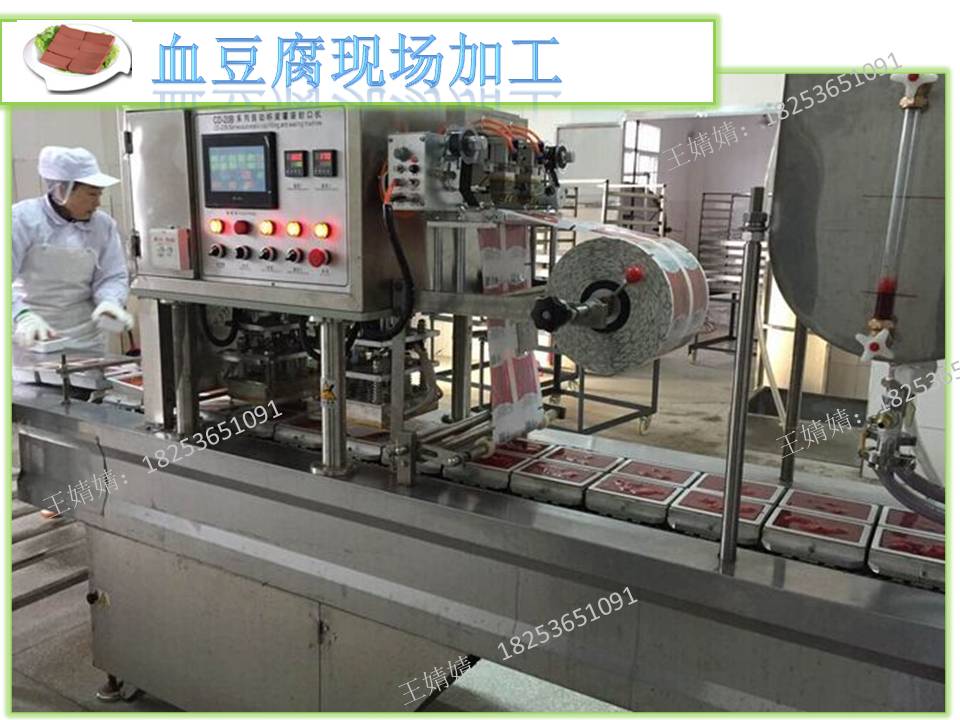 血豆腐灌裝機(jī)|豬血加工自動灌裝機(jī)