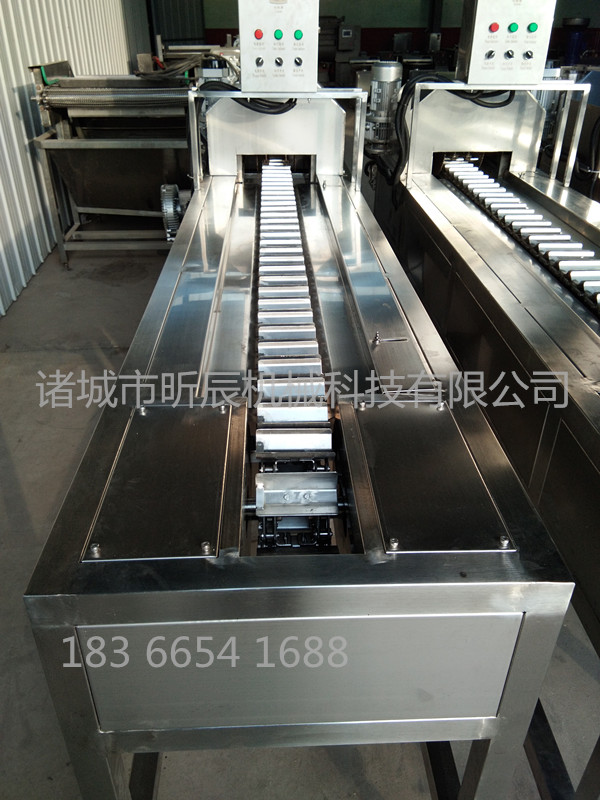 速凍玉米切頭去尾機 玉米切頭機 糯玉米切頭去尾機