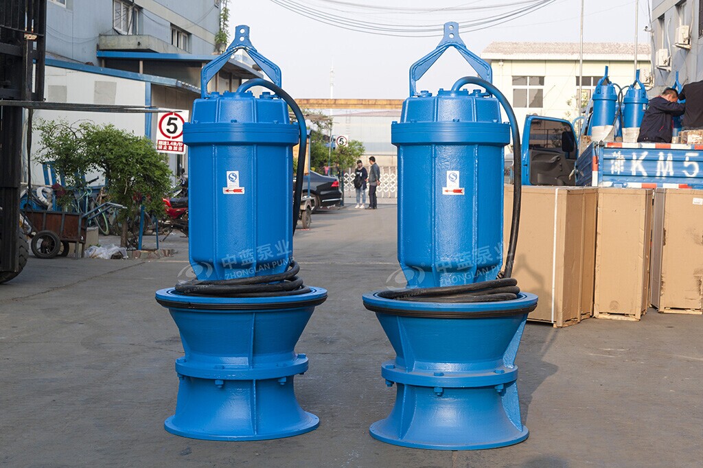 天津600QZB潛水式軸流泵