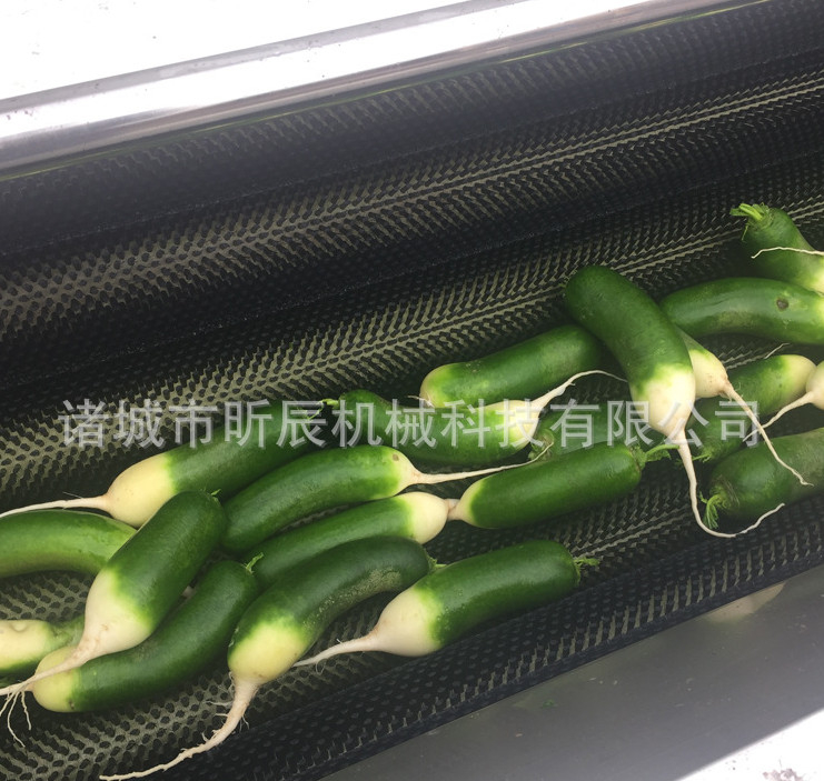 毛輥清洗去皮機(jī) 土豆蘿卜姜去皮去泥機(jī) 果蔬清洗機(jī) 毛輥清洗去皮機(jī) 土豆蘿卜姜去皮機(jī)