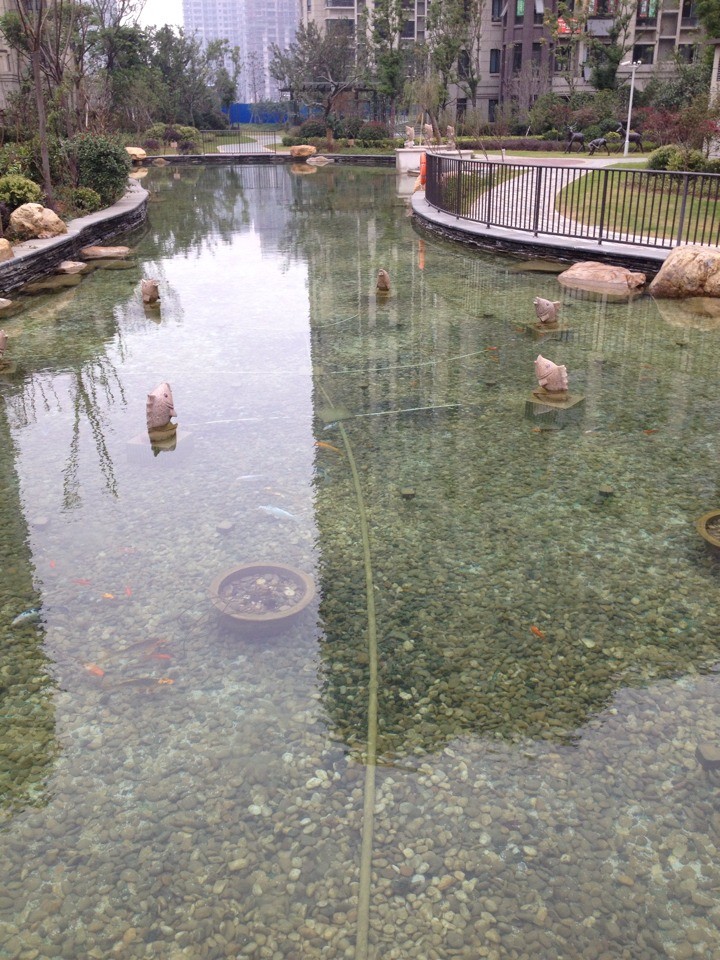 鎮(zhèn)江魚池水凈化過濾工程_別墅魚池水凈化過濾工程，365天不用換水，水質(zhì)清澈見底
