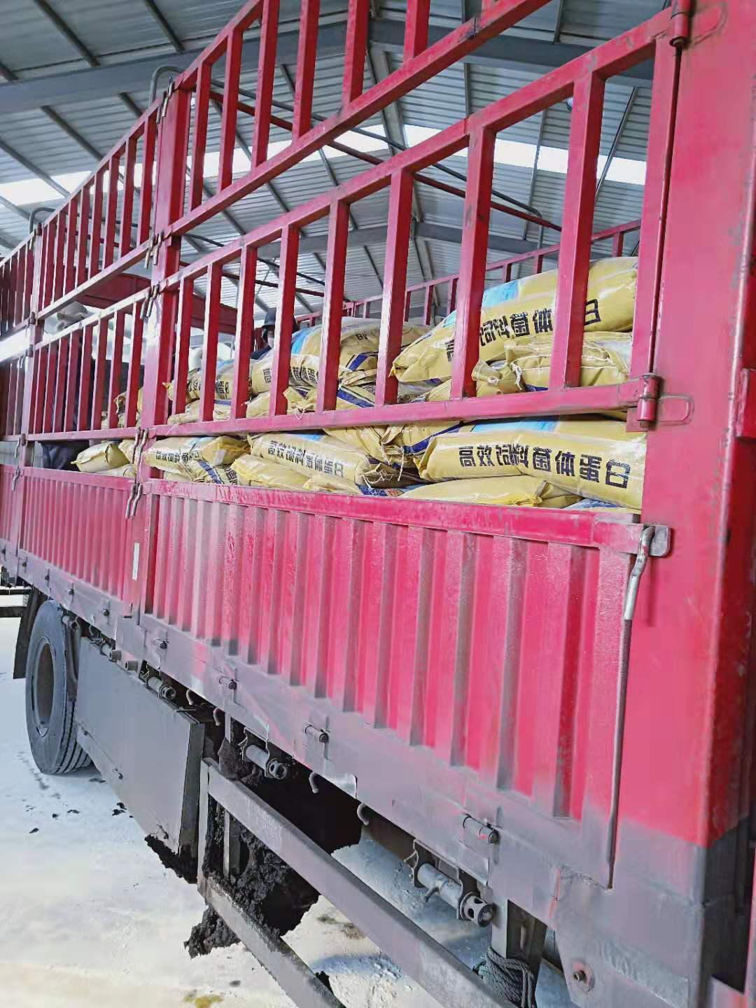 飼料酵母蛋白供應商  飼料酵母蛋白優(yōu)質(zhì)廠家 廣東飼料酵母蛋白哪家好 飼料酵母蛋白銷售