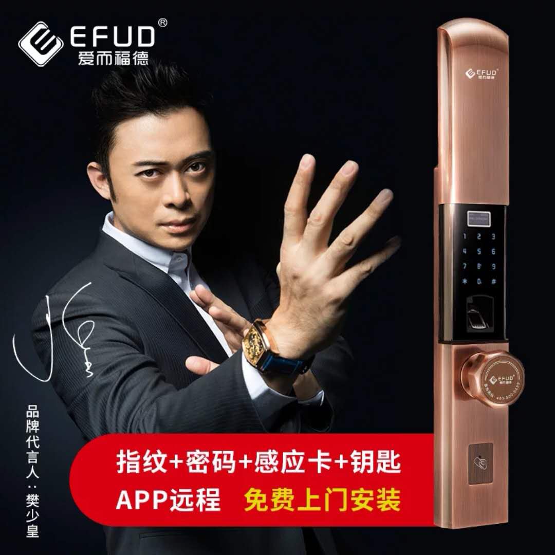 武漢市 武漢市愛而福德指紋鎖廠家