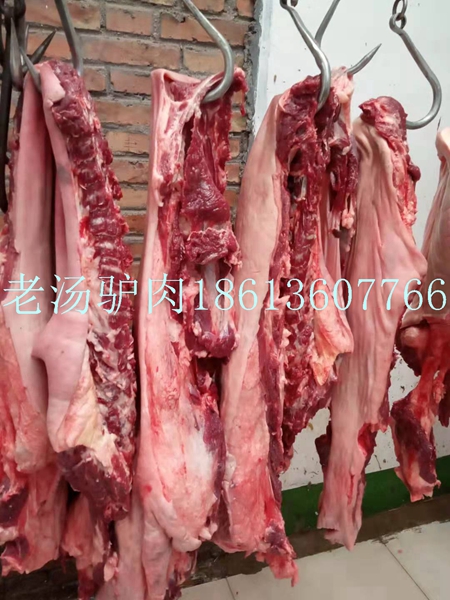 供應(yīng) 驢肉驢腿肉驢肋條驢骨頭