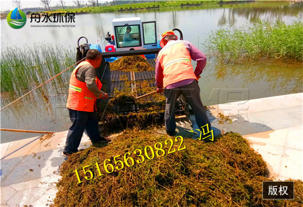 水草收割船 水面清漂船 清理打撈水草好幫手