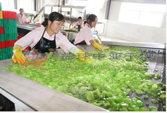 DWT系列脫水蔬菜干燥機