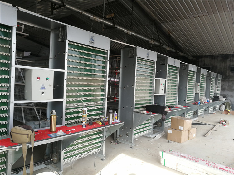 蛋雞籠養(yǎng)設(shè)備A型蛋雞籠/山東階梯式蛋雞籠養(yǎng)設(shè)備廠家批發(fā)/A型蛋雞籠價(jià)格