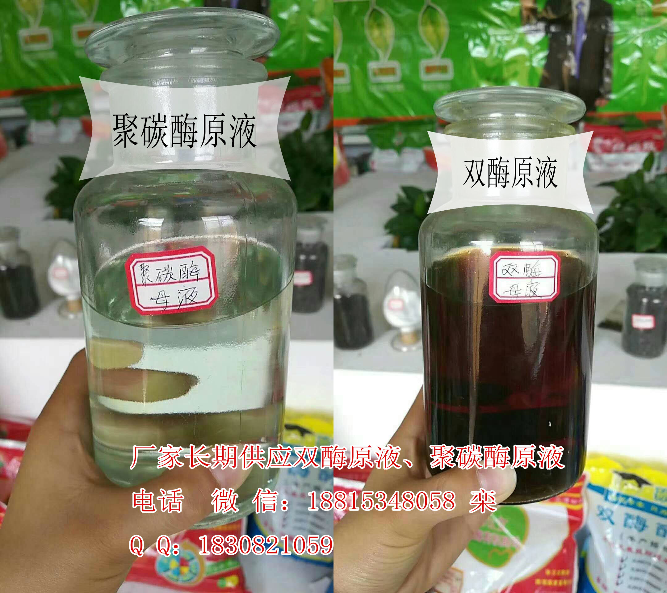 雙酶母 料/聚碳酶母 料*生物酶*技術(shù) 雙酶母  液/聚碳酶母 料