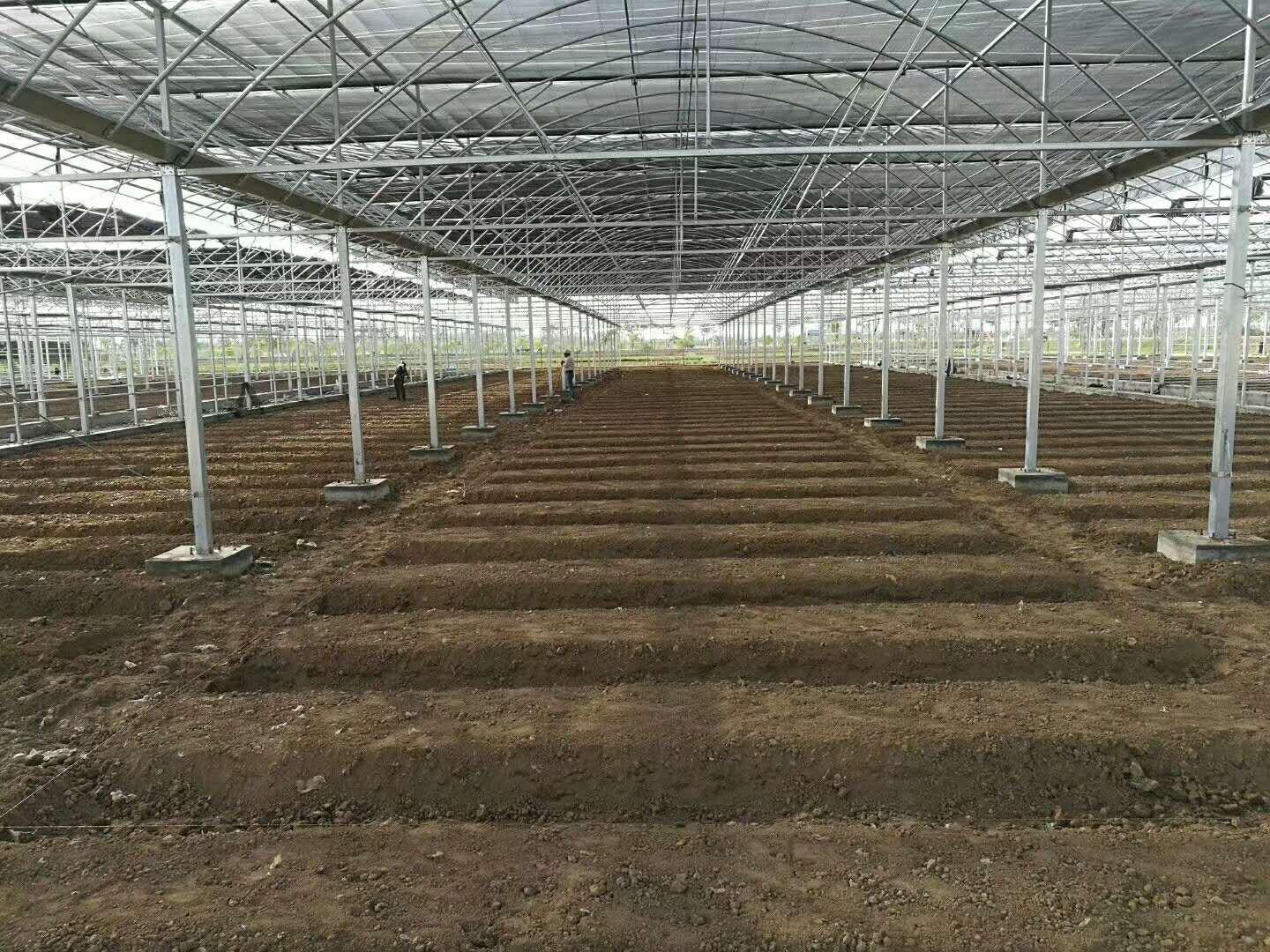 貴貴溫室連棟薄膜溫室工程