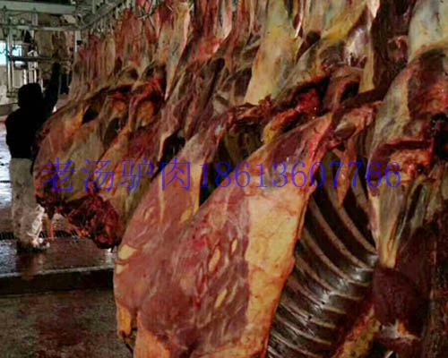 供應馬肉蒙古馬肉馬肋條