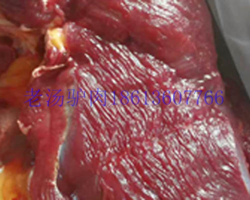 供應馬肉蒙古馬肉馬肋條
