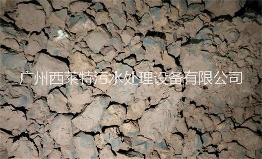 污泥熱泵干化機 污泥帶式干化機