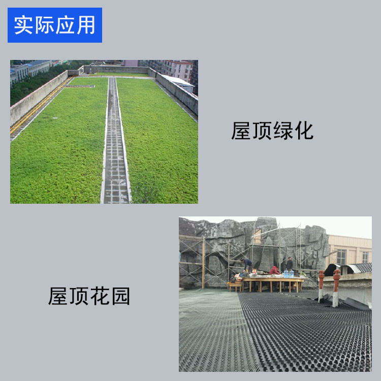 屋頂花園排水板 凹凸型塑料疏水板 抗壓強壽命長