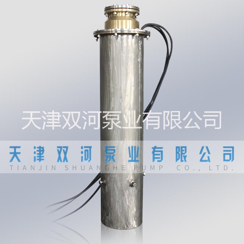 不銹鋼深井泵 耐腐蝕潛水泵廠直銷