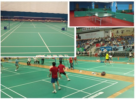 供應(yīng)廣西PVC地板南寧幼兒園地膠南寧*地板膠