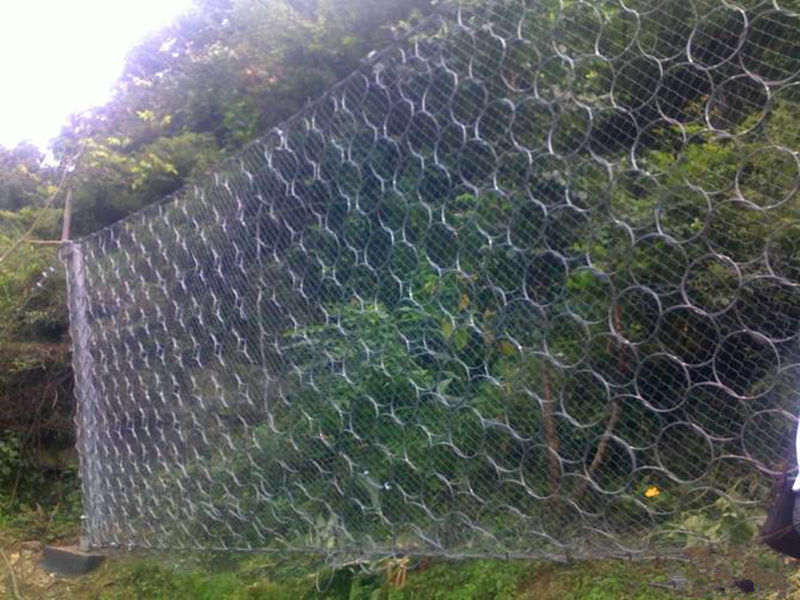 被動(dòng)防護(hù)網(wǎng)rxi-200