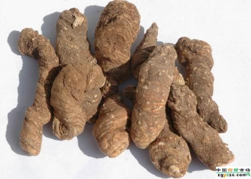 重樓，貴州重樓的價(jià)格，貴州重樓的市場價(jià)，貴州重樓多少錢一斤