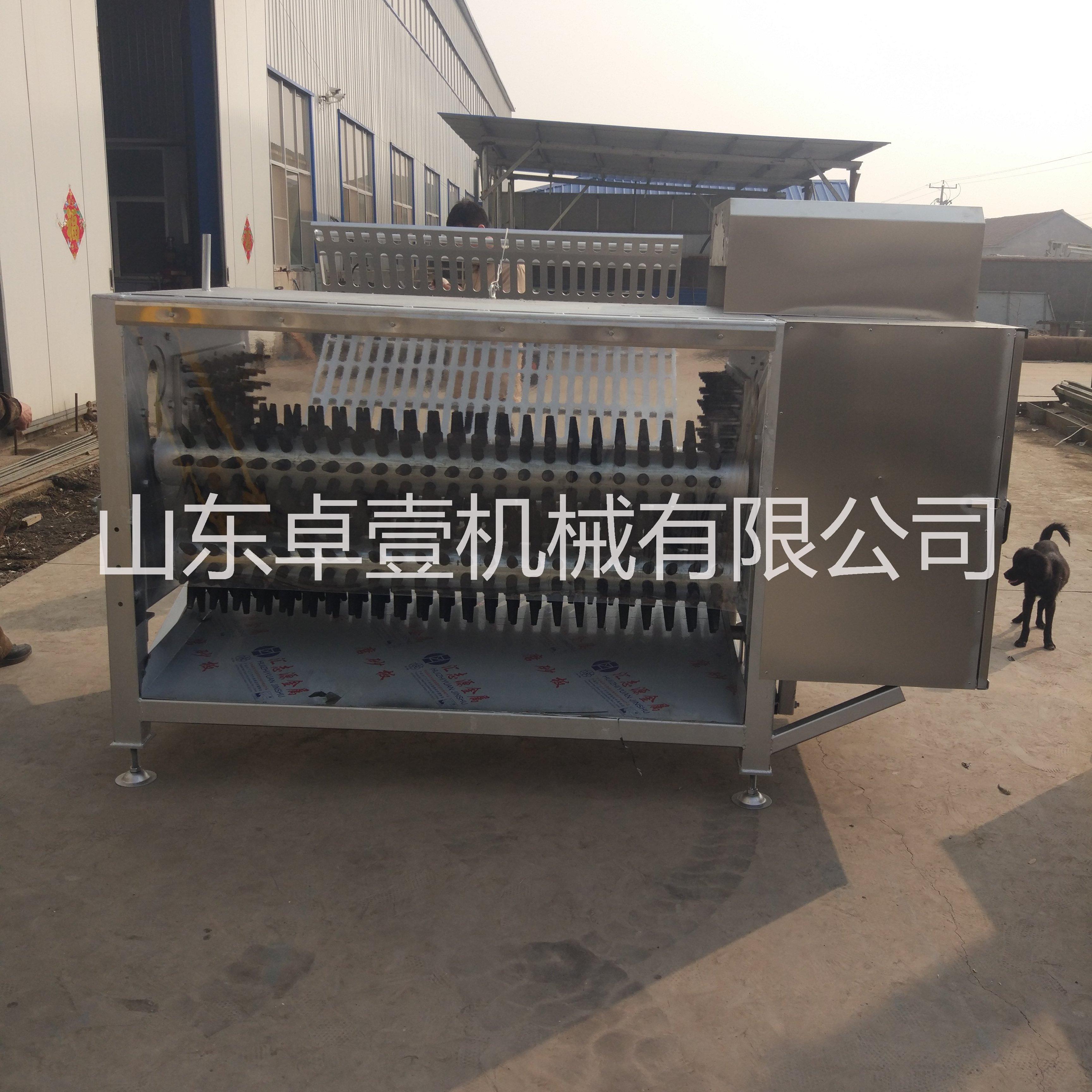 新型綿羊脫毛機新型綿羊去毛機新型 全自動羊脫毛機 自動液壓羊去毛機