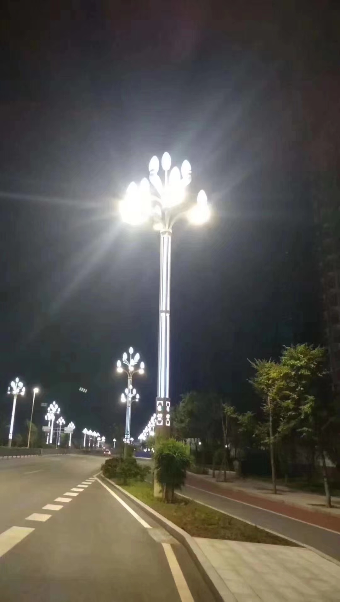 中華燈公園廣場燈玉蘭戶外燈