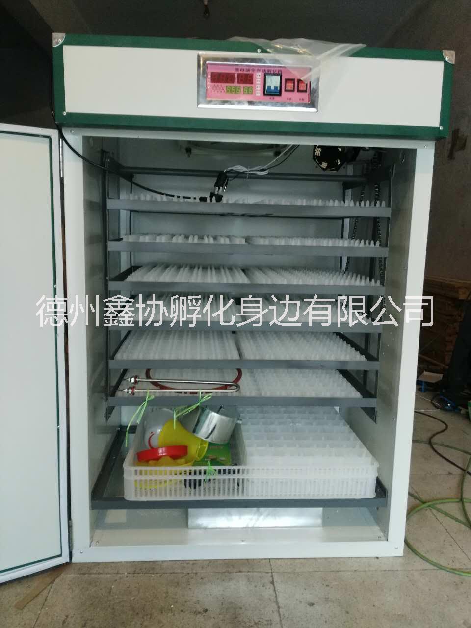 孵化機(jī)多少錢一臺(tái)孵化箱價(jià)格孵化機(jī)價(jià)格