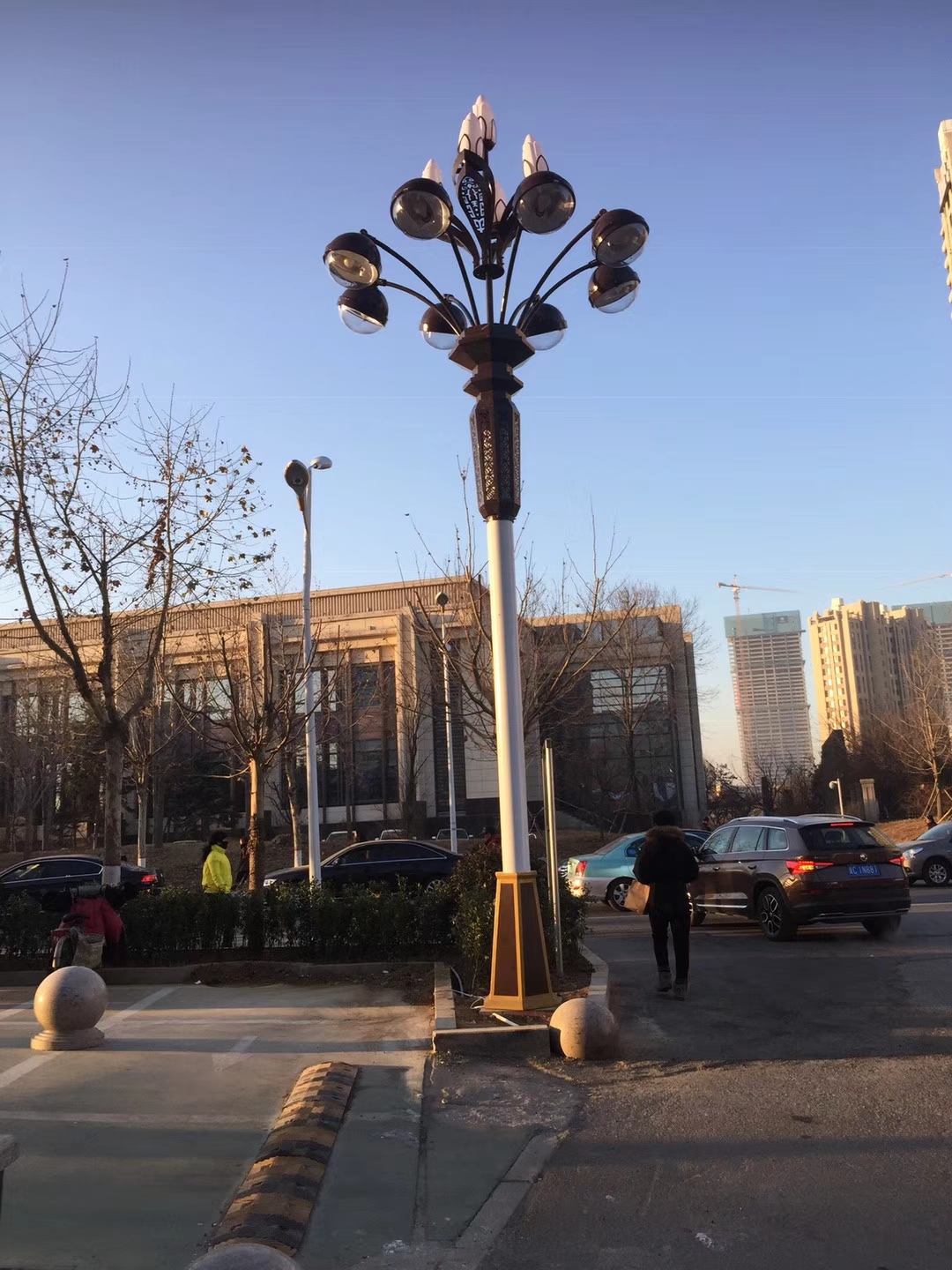 中華燈公園廣場燈玉蘭戶外燈