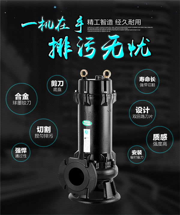 天津中藍(lán)250WQ潛水排污泵