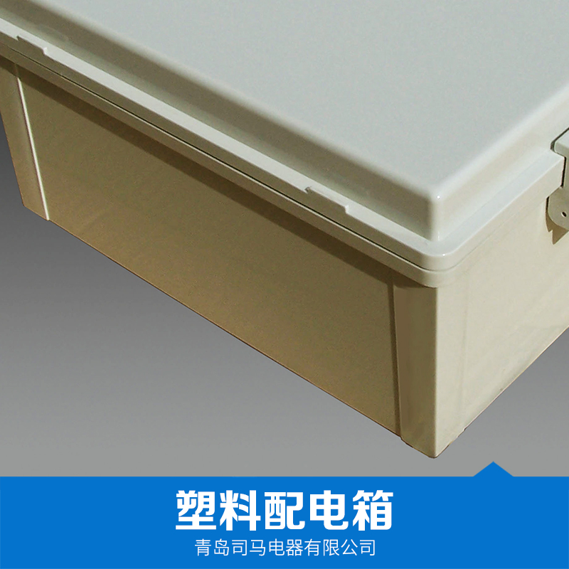塑料配電箱 塑料配電箱價(jià)格 防水配電箱 現(xiàn)貨供應(yīng) 品質(zhì)保證