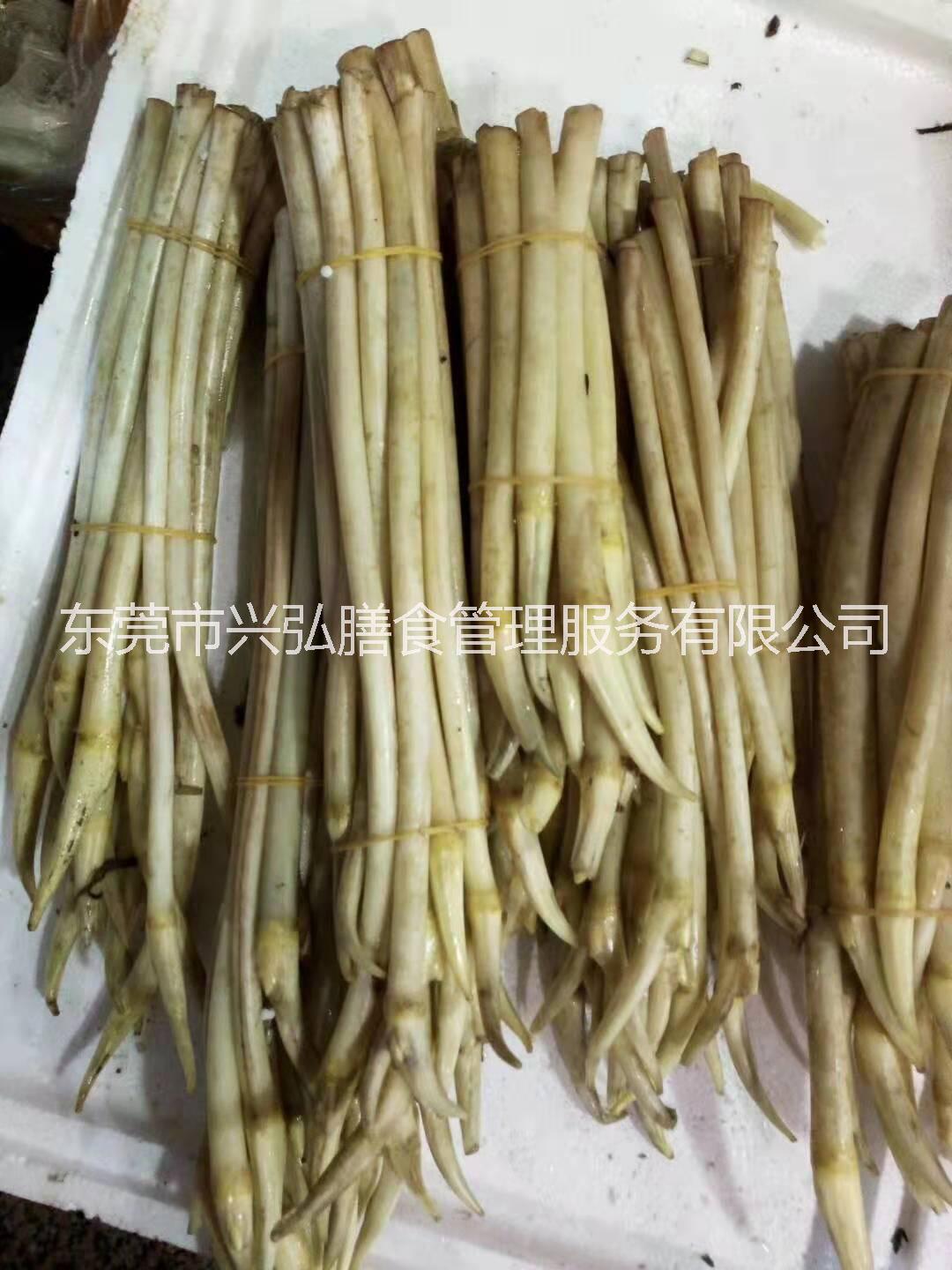 承接工廠學(xué)校企業(yè)東莞蔬菜配送公司