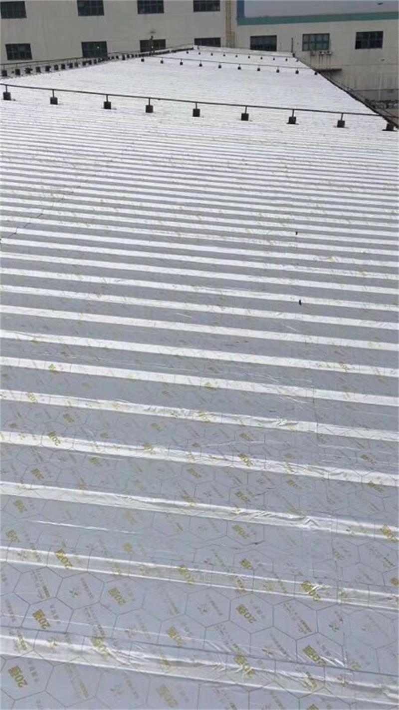 供應(yīng)天信野麥龍彩鋼瓦屋面漏水*防水卷材