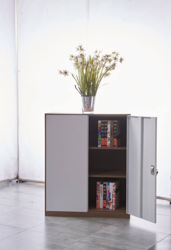 地柜 儲(chǔ)物柜廠家直銷(xiāo) 廣東地柜廠家 辦公地柜供應(yīng)商 辦公室地柜供應(yīng)商