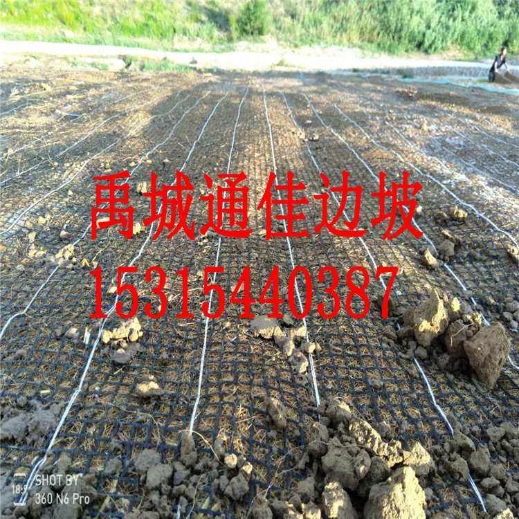 內(nèi)蒙*礦山綠化 抗沖生態(tài)毯  加筋防沖毯 生態(tài)綠化修復(fù)毯
