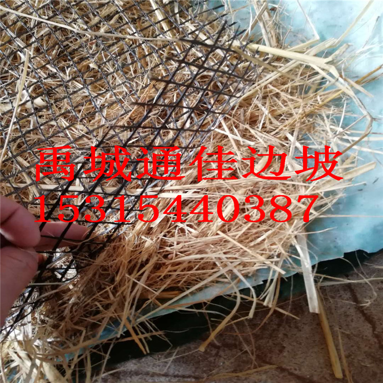 廠家批發(fā)福建泉州生態(tài)綠色植物纖維毯  植被毯 植草毯 椰絲綠化毯