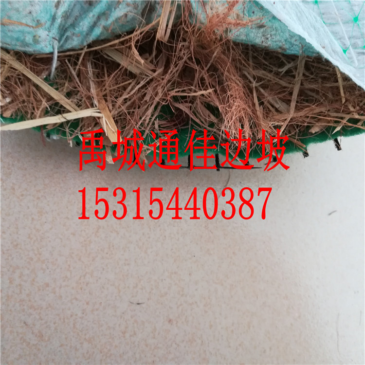 鄂爾多斯生產(chǎn)河道護(hù)坡 保溫保濕 抗沖生態(tài)毯 生物毯 抗沖植草毯