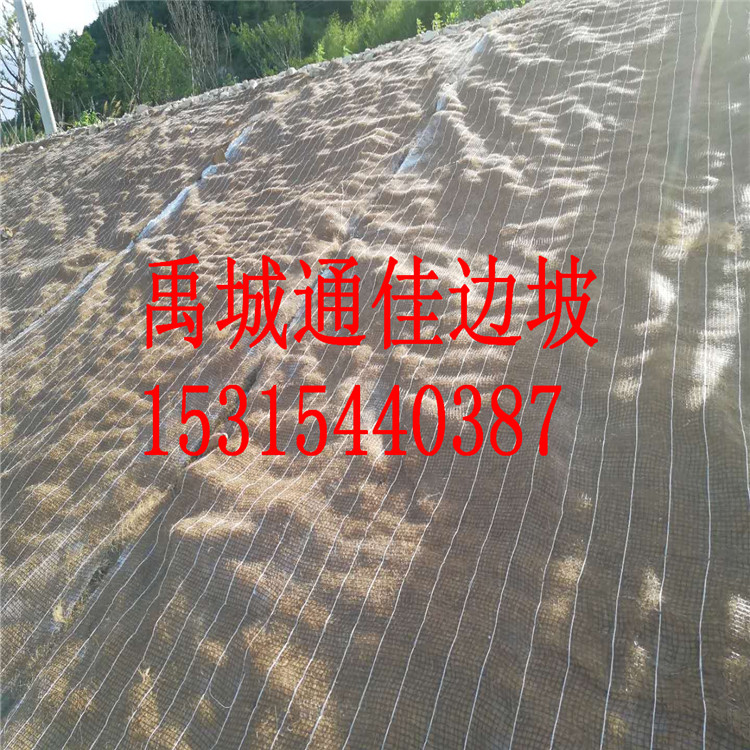廠(chǎng)家批發(fā)廣東佛山抗沖生態(tài)毯 加筋防沖毯  生態(tài)綠化毯