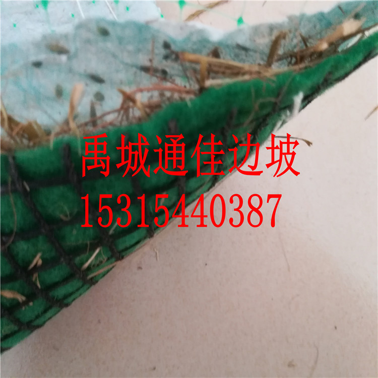 鄂爾多斯生產(chǎn)河道護(hù)坡 保溫保濕 抗沖生態(tài)毯 生物毯 抗沖植草毯