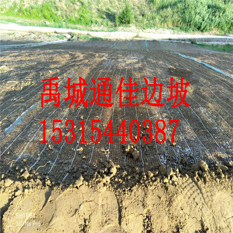 廠家直銷供應(yīng)湖南抗沖生態(tài)植被綠化毯 護(hù)坡生態(tài)毯