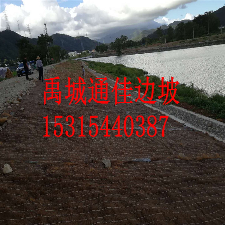 廠(chǎng)家批發(fā)廣東佛山抗沖生態(tài)毯 加筋防沖毯  生態(tài)綠化毯