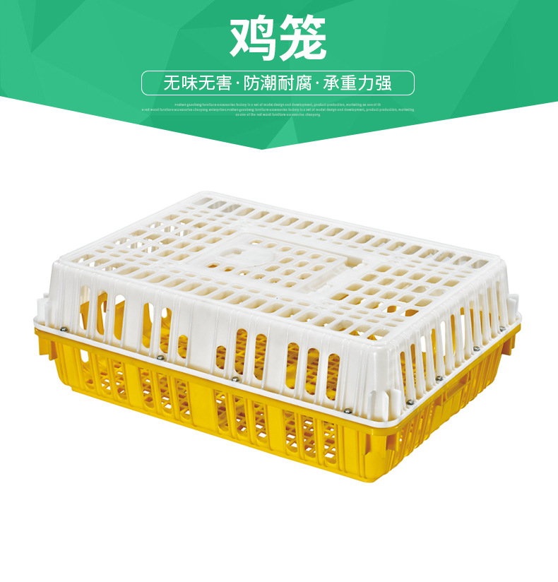 物流膠筐_運輸膠蘿_運輸膠蘿_番禺6號蘿生產(chǎn)廠家