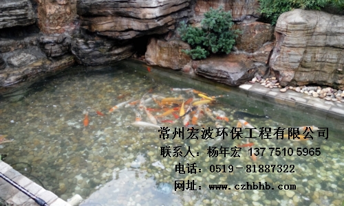 供應景觀魚池水過濾_