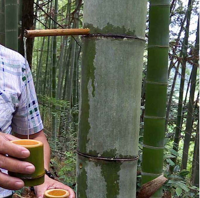竹酒，竹筒酒招商加盟